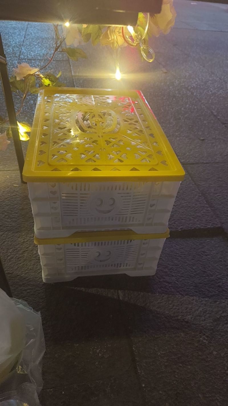 喀什恐龙蛋