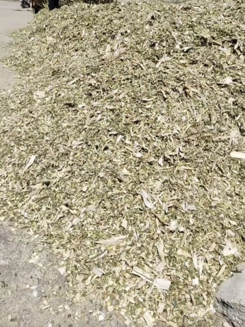 河南南阳唐河县优质黄储出售