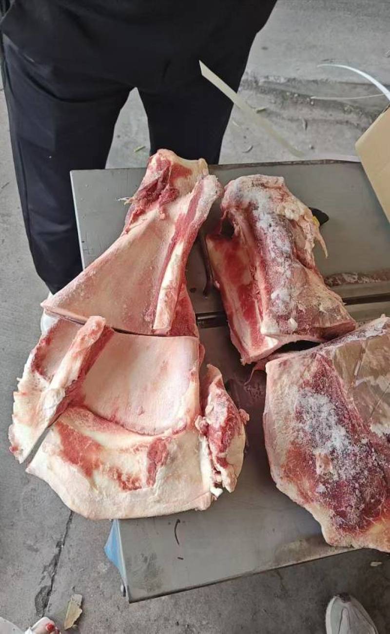 牛力骨，也叫牛扇子骨。带肉率55左右