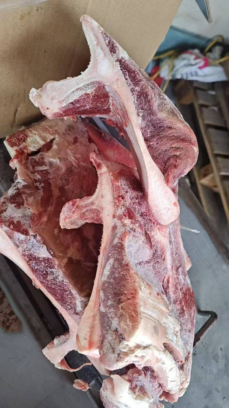 牛力骨，也叫牛扇子骨。带肉率55左右