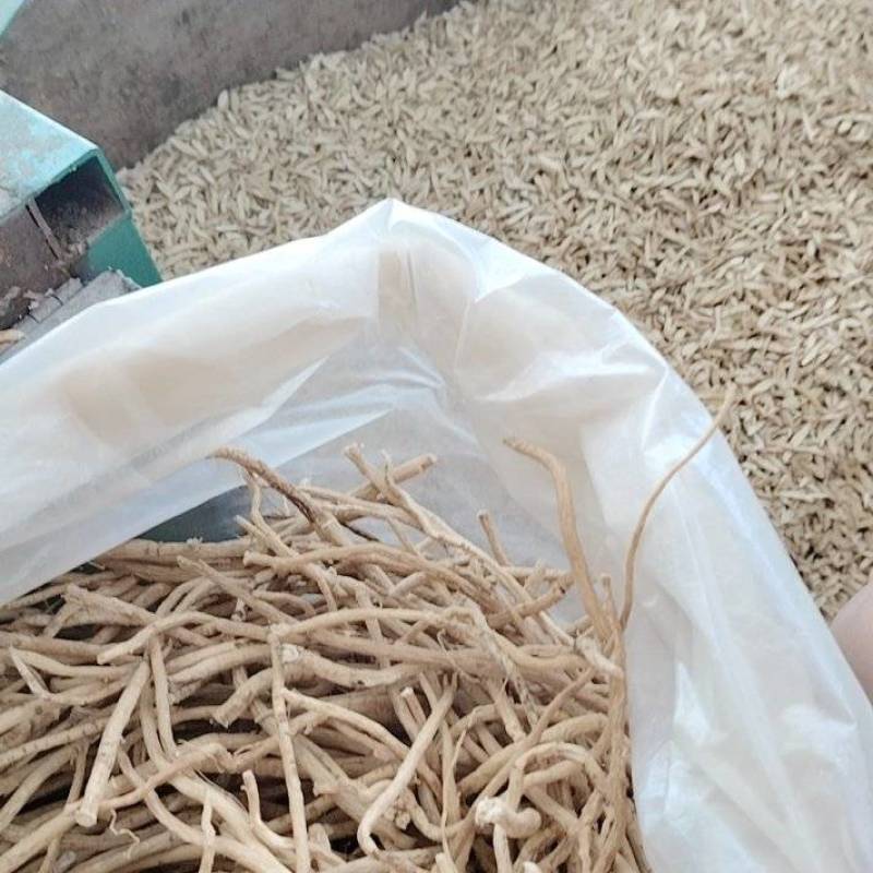 价格美丽的黄芪正品保障随时有货快来抢购