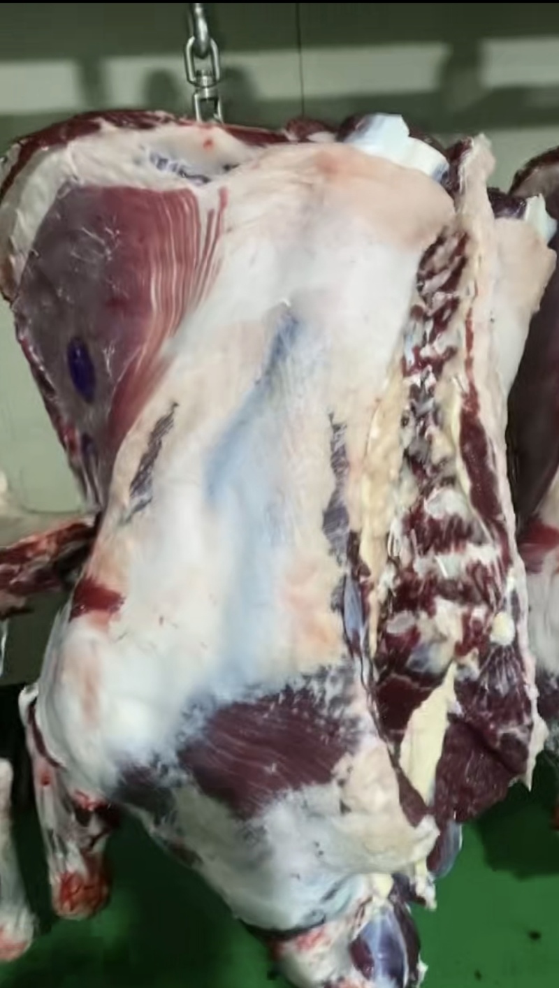 牦牛肉