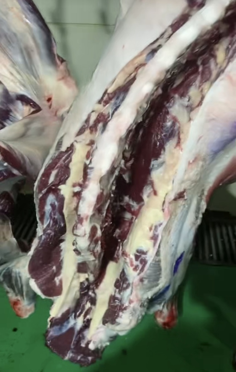 牦牛肉