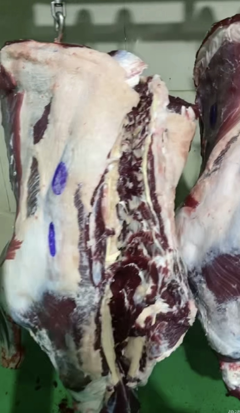 牦牛肉