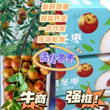 冬枣/山东滨州沾化区冬枣基地直发大量上市对接全国采购商