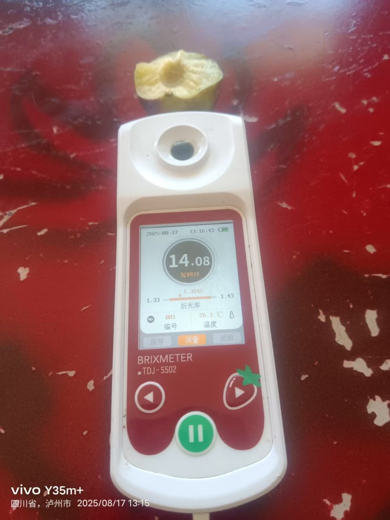 赤水河高山脆红李口感脆量大，基地直发