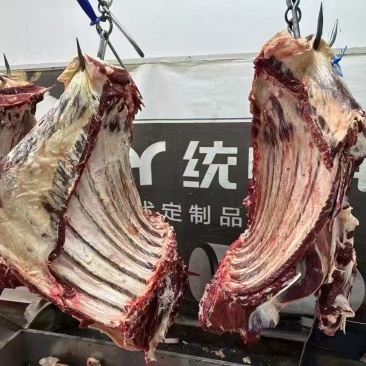 宁夏牛肉，产地直发