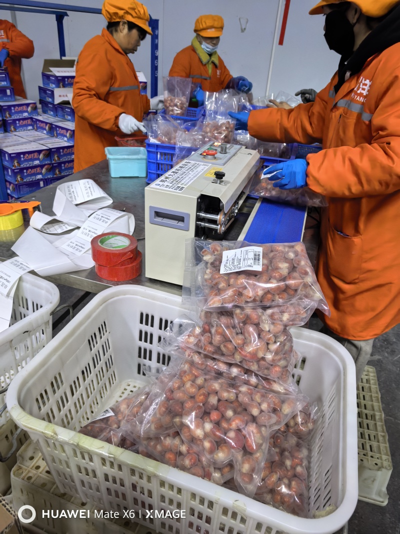 2斤装家庭版薄冰龙虾尾，小规格原料，质量保证，性价比**