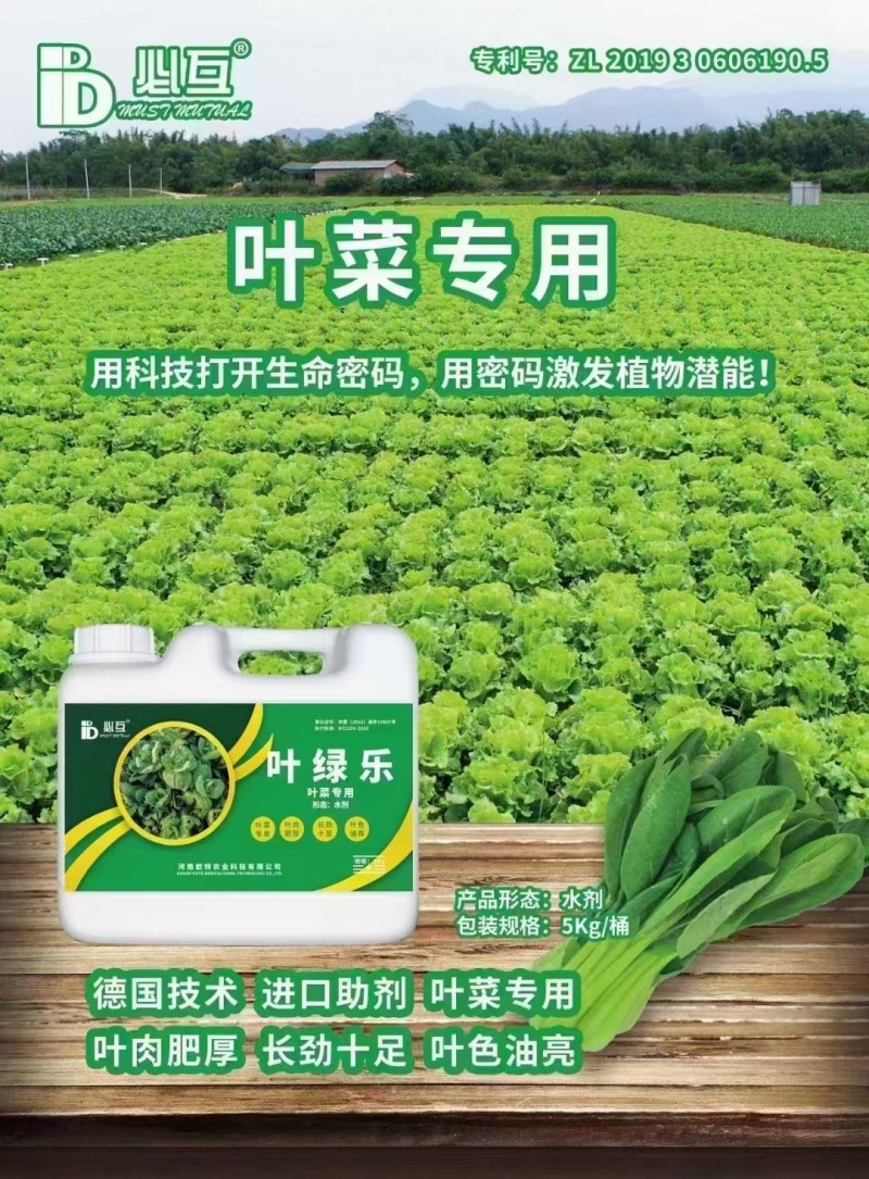 必互叶绿乐冲施滴灌灌根使用5kg/桶