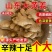山东大黄姜精品生姜外贸货市场货海量货源全国发货欢迎考察