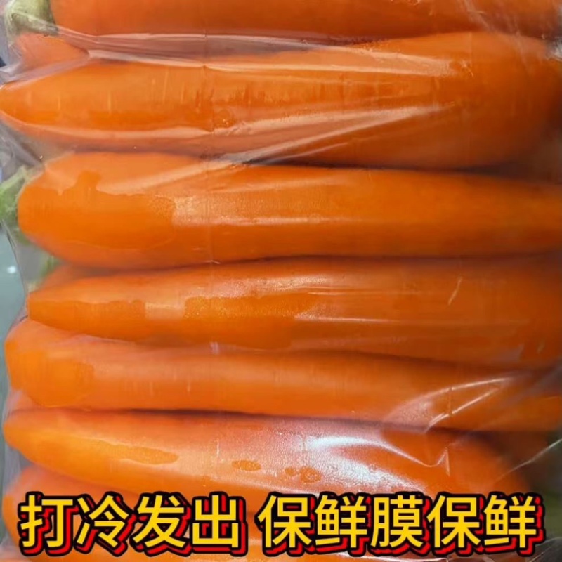 水洗胡萝卜市场货外贸货大量上市产地直发一手货源