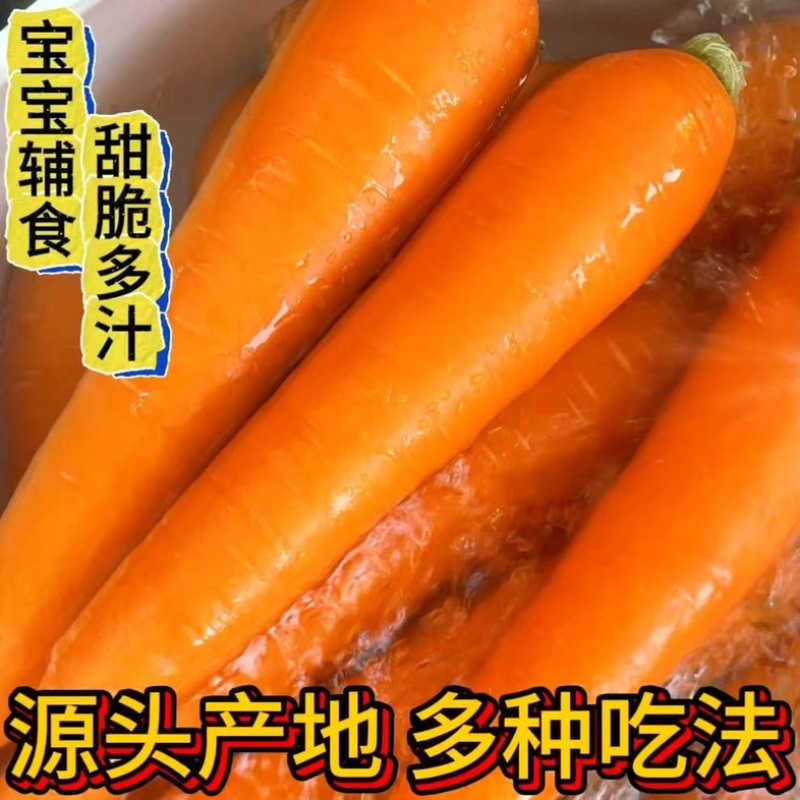 水洗胡萝卜市场货外贸货大量上市产地直发一手货源