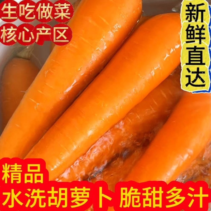 水洗胡萝卜市场货外贸货大量上市产地直发一手货源