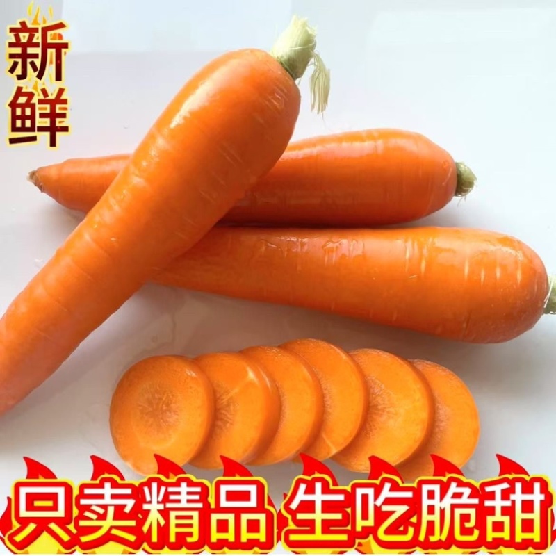 水洗胡萝卜市场货外贸货大量上市产地直发一手货源