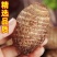 山东芋头毛芋头芋头8520产地直发商超货外贸货市场货