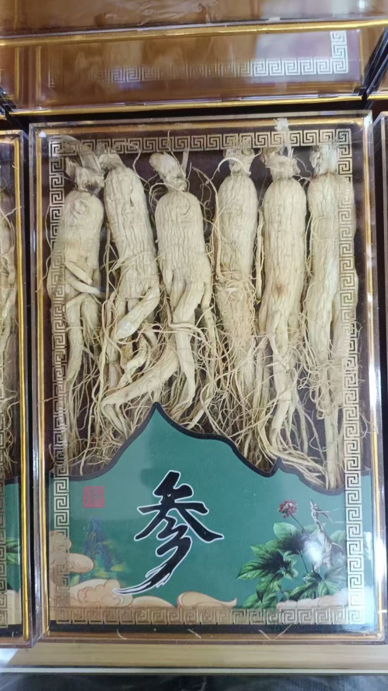 人参灵芝孢子粉野山参等