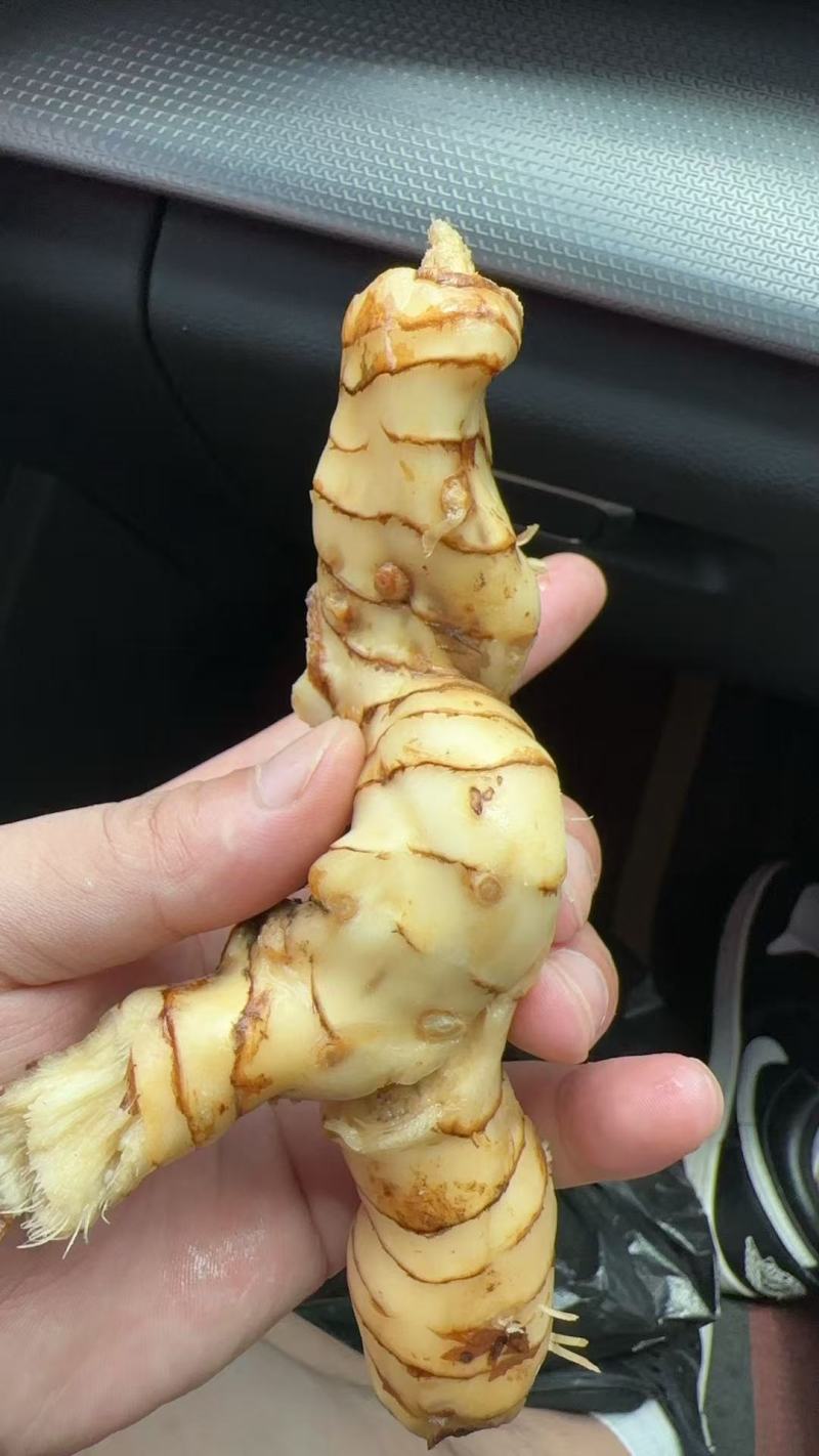 白皮南姜