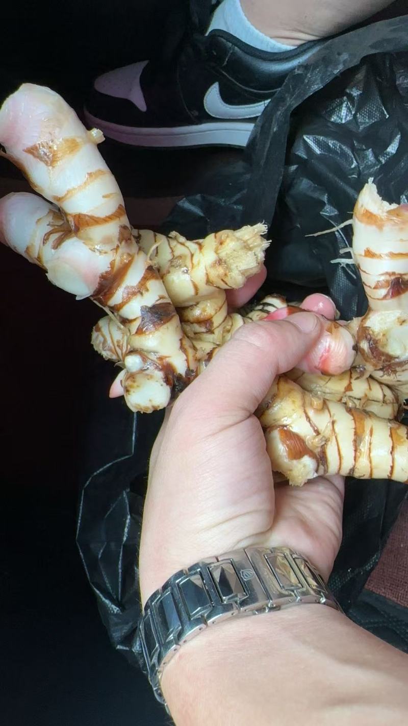 白皮南姜