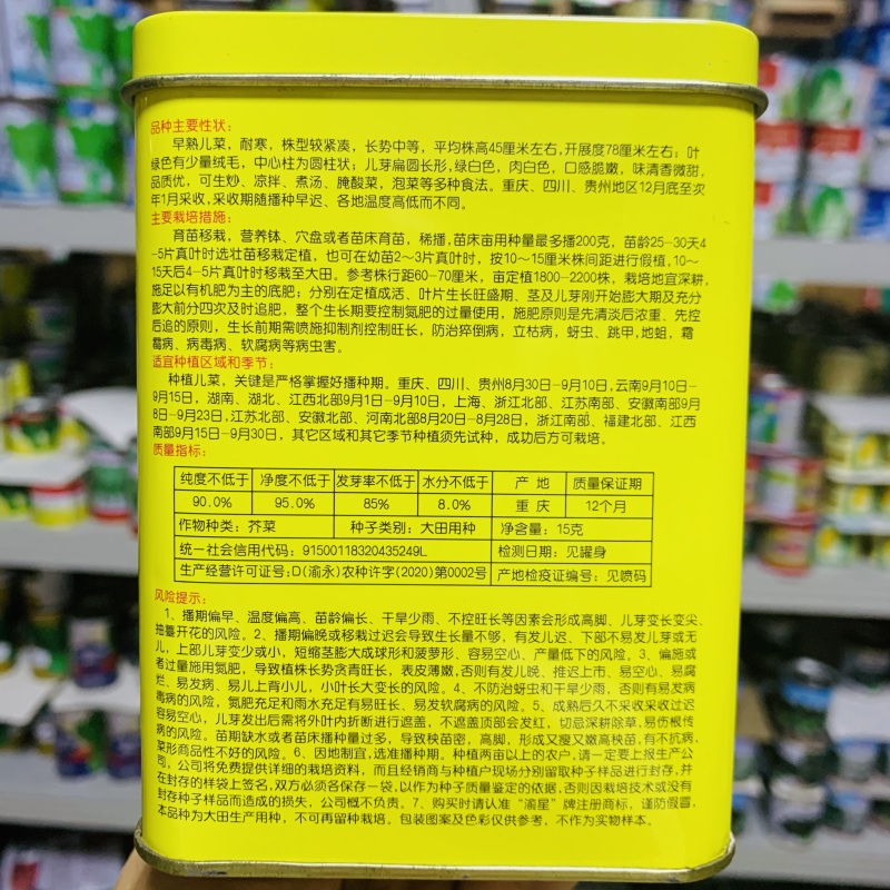渝早大胖儿菜种子秋播早熟耐寒脆嫩炒食腌制芥菜种籽南方蔬菜