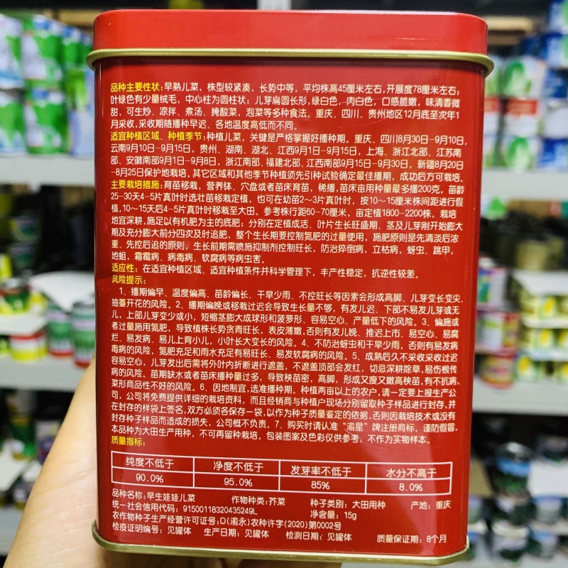 渝早大胖儿菜种子秋播早熟耐寒脆嫩炒食腌制芥菜种籽南方蔬菜