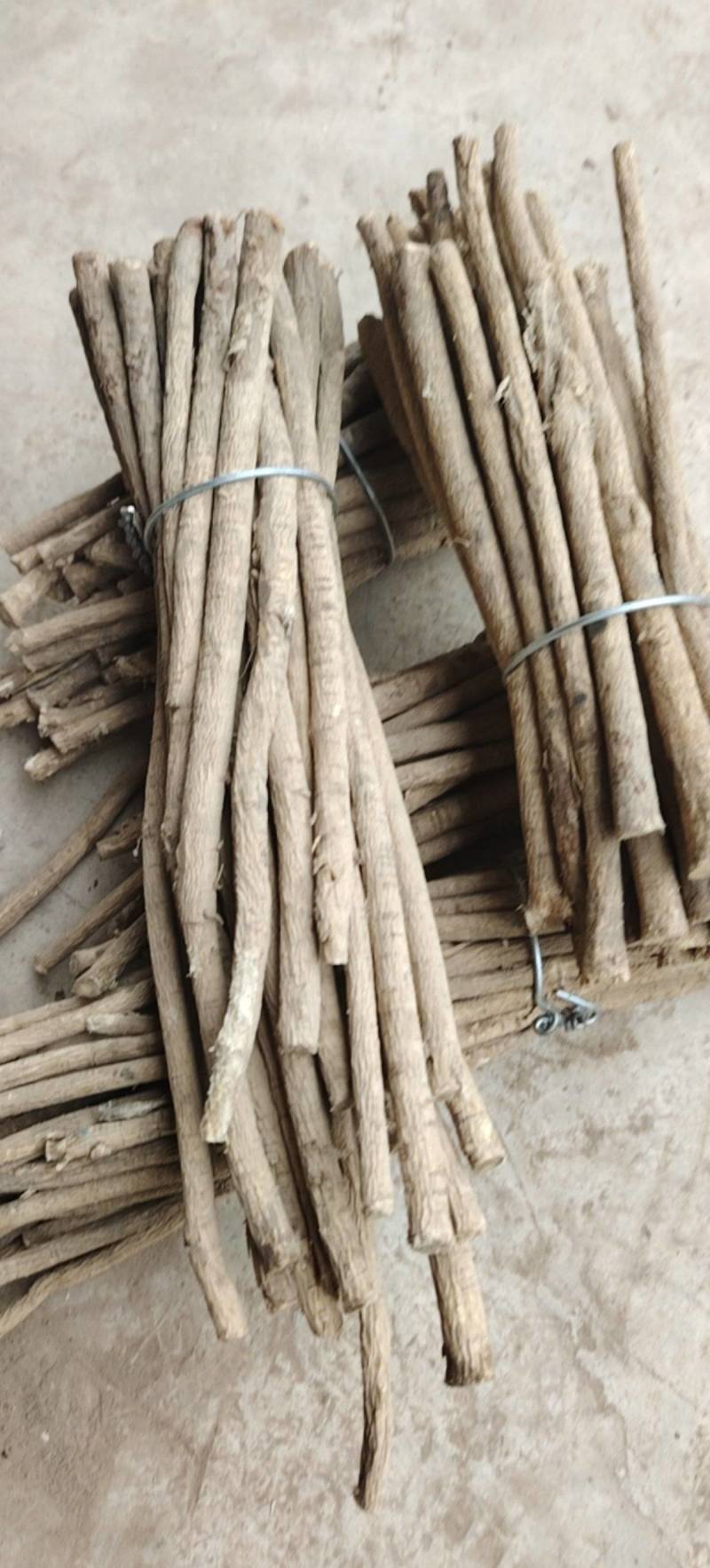 一手货源黄芪超高性价比欢迎电话咨询