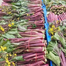 甘孜州道孚八美镇油菜苔出来了，大量上市