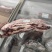 后胸gc:草饲后胸，薄切0.2-0.3厘米烤涮支持