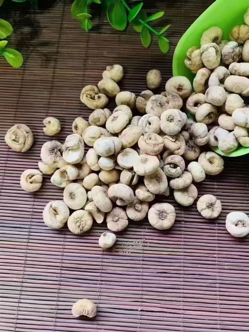 人参灵芝孢子粉野山参等