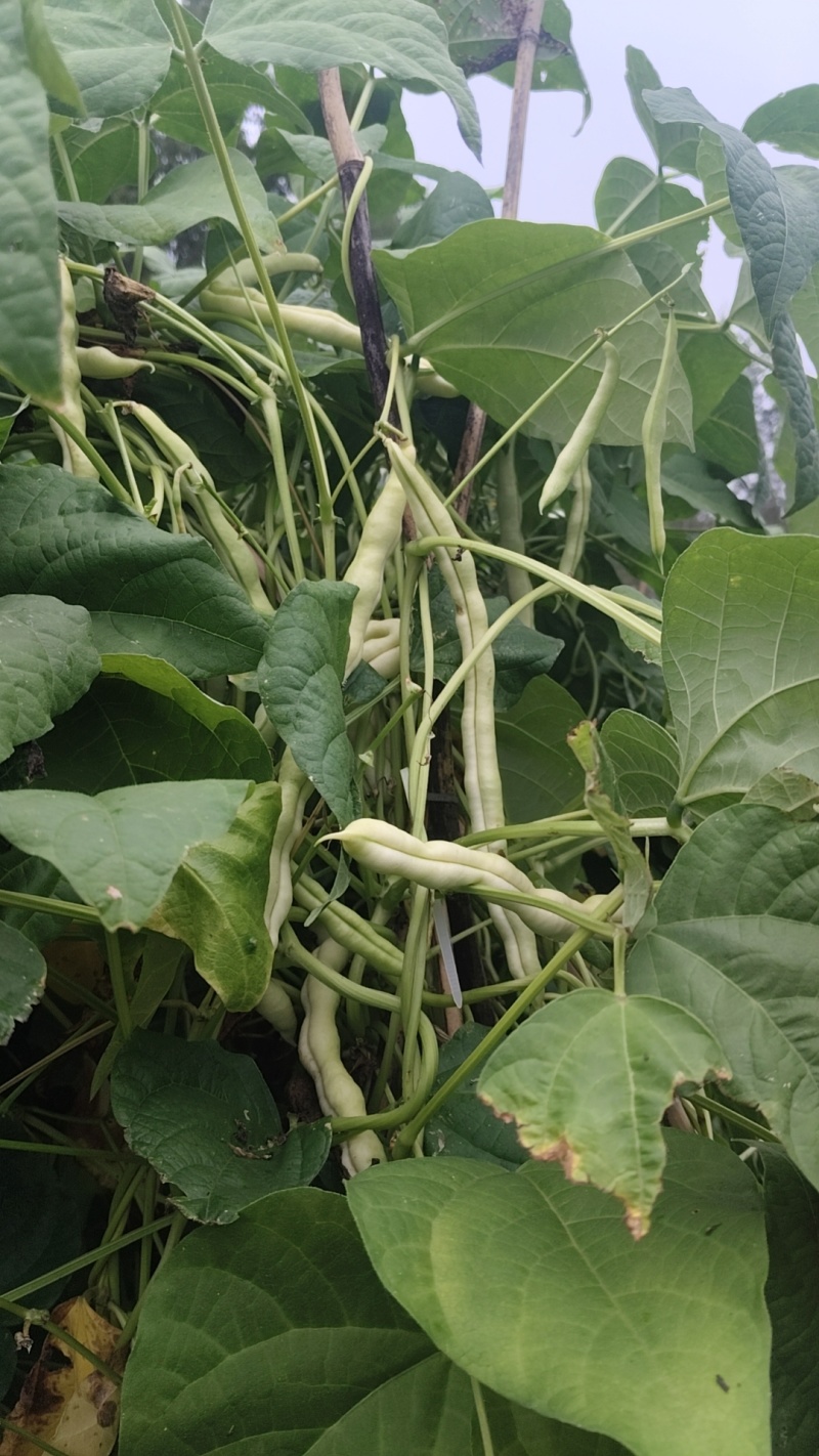 处理尾货