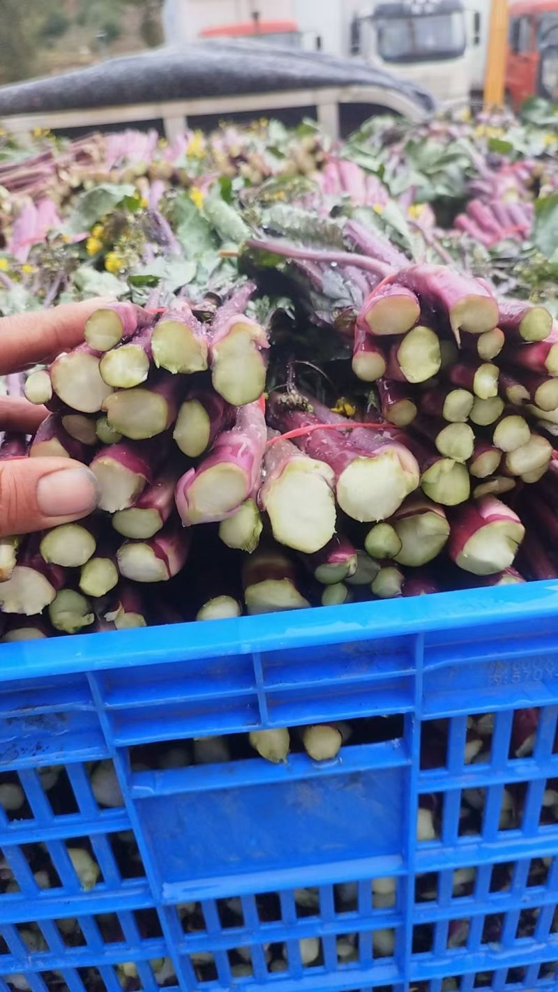 甘孜州道孚八美镇油菜苔出来了，大量上市