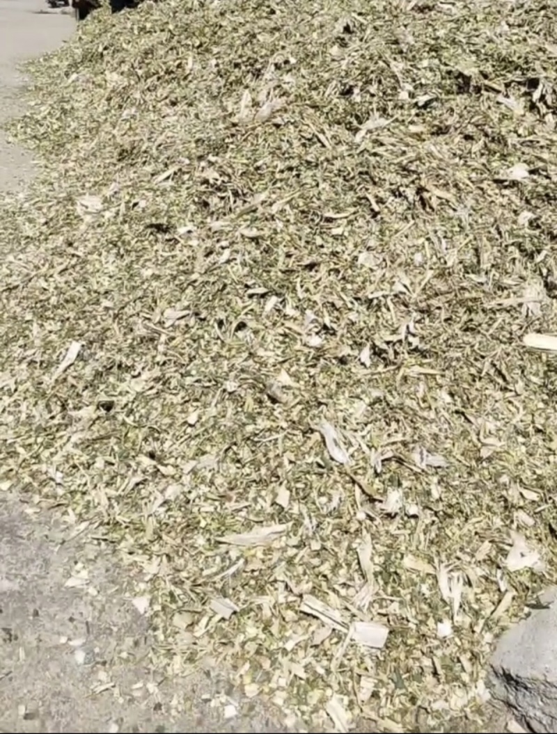 河南南阳唐河县优质黄储出售