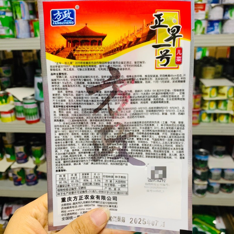 正早一号儿菜种子早熟重庆娃娃菜种籽大儿菜芥菜大田用种