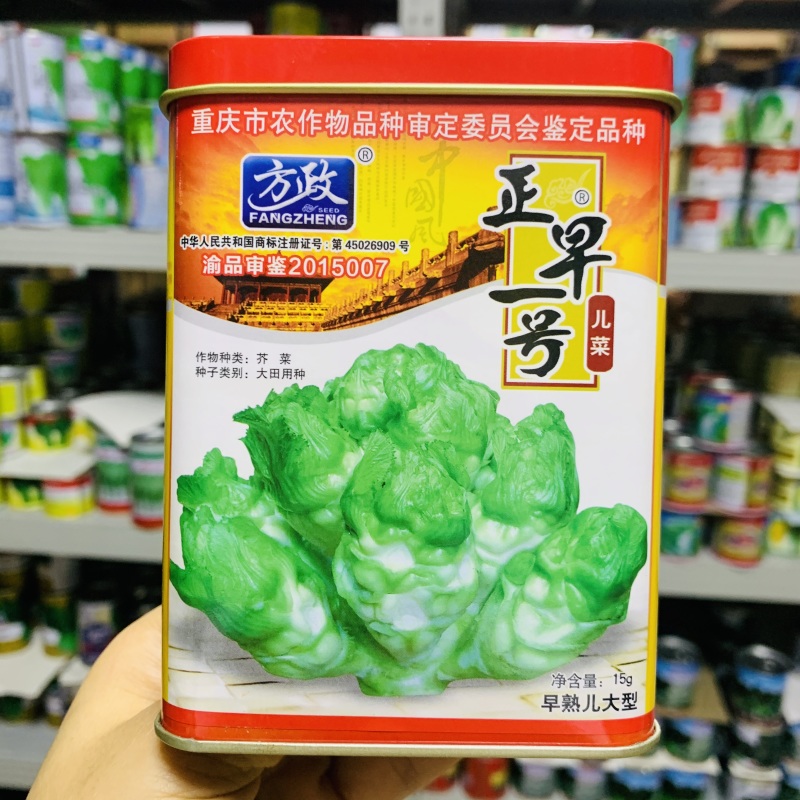正早一号儿菜种子早熟重庆娃娃菜种籽大儿菜芥菜大田用种