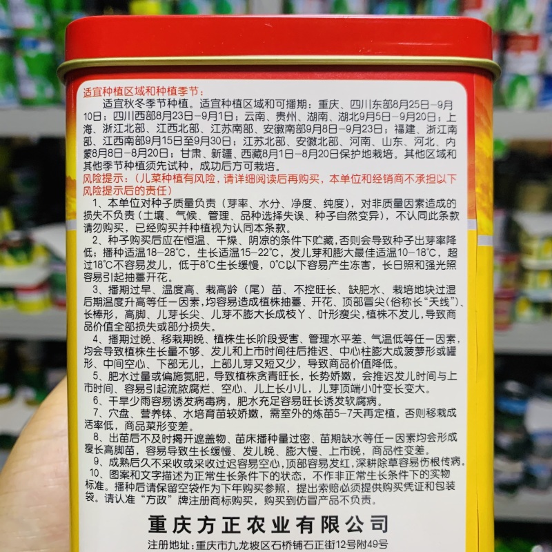 正早一号儿菜种子早熟重庆娃娃菜种籽大儿菜芥菜大田用种