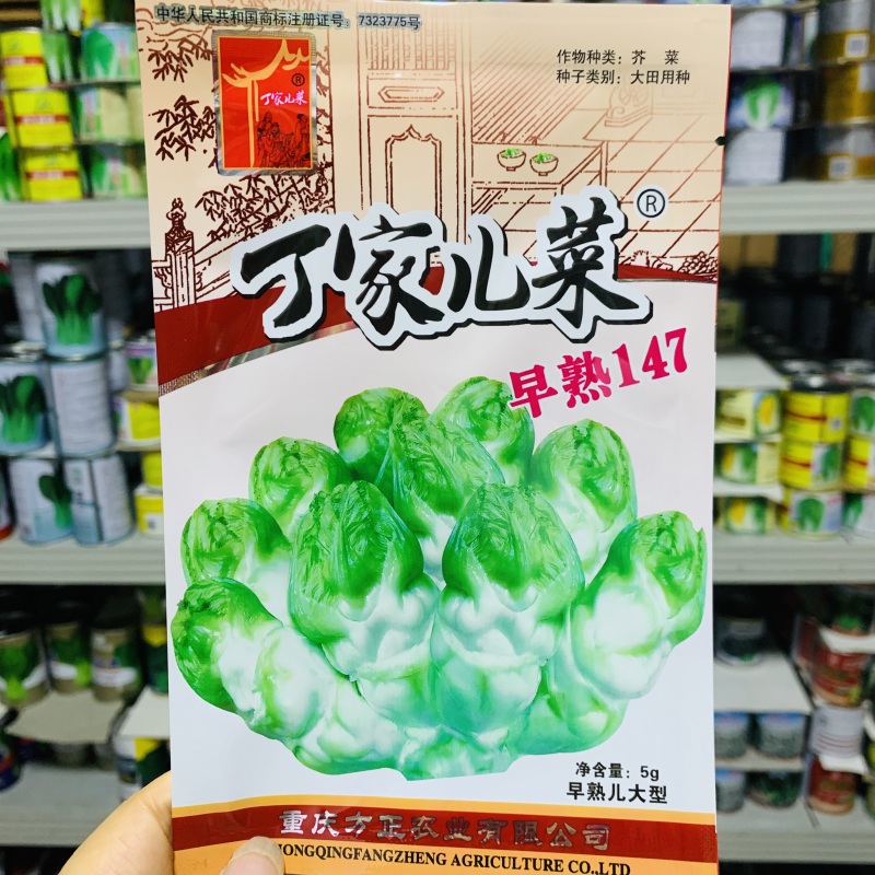 正早一号儿菜种子早熟重庆娃娃菜种籽大儿菜芥菜大田用种