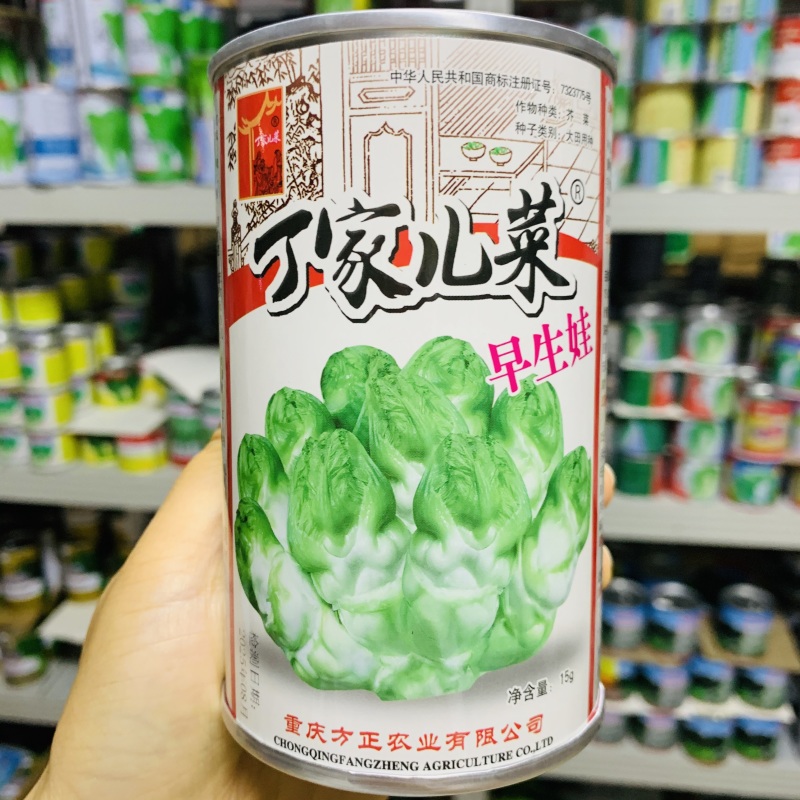 正早一号儿菜种子早熟重庆娃娃菜种籽大儿菜芥菜大田用种