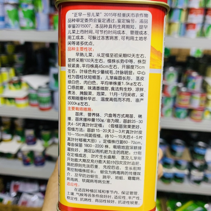 正早一号儿菜种子早熟重庆娃娃菜种籽大儿菜芥菜大田用种