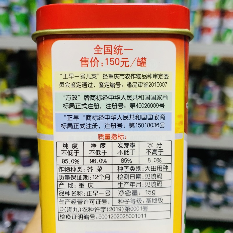 正早一号儿菜种子早熟重庆娃娃菜种籽大儿菜芥菜大田用种