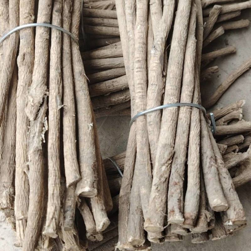 一手货源黄芪超高性价比欢迎电话咨询