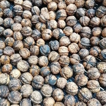 云南大树纸皮鲜核桃