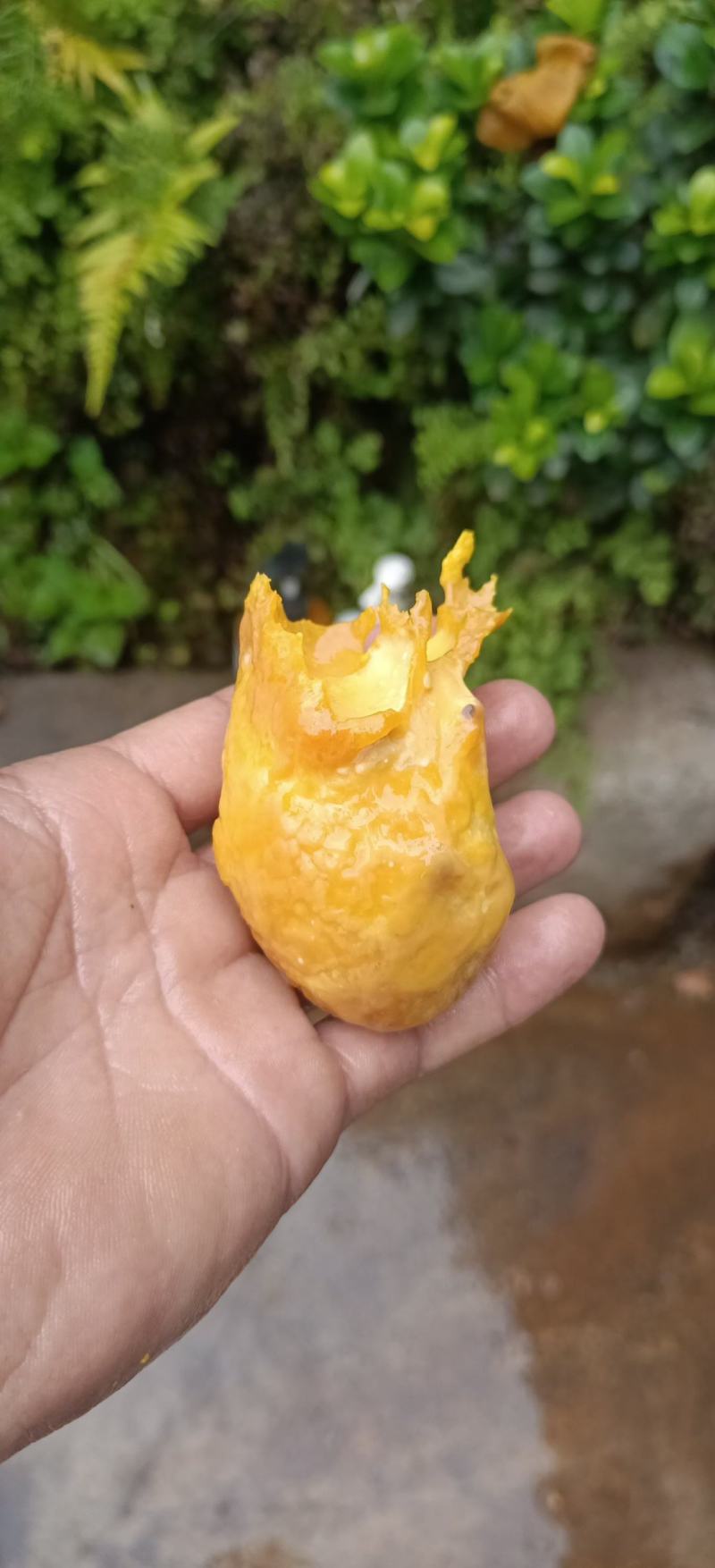 鸡宝，欢迎各位老板采购