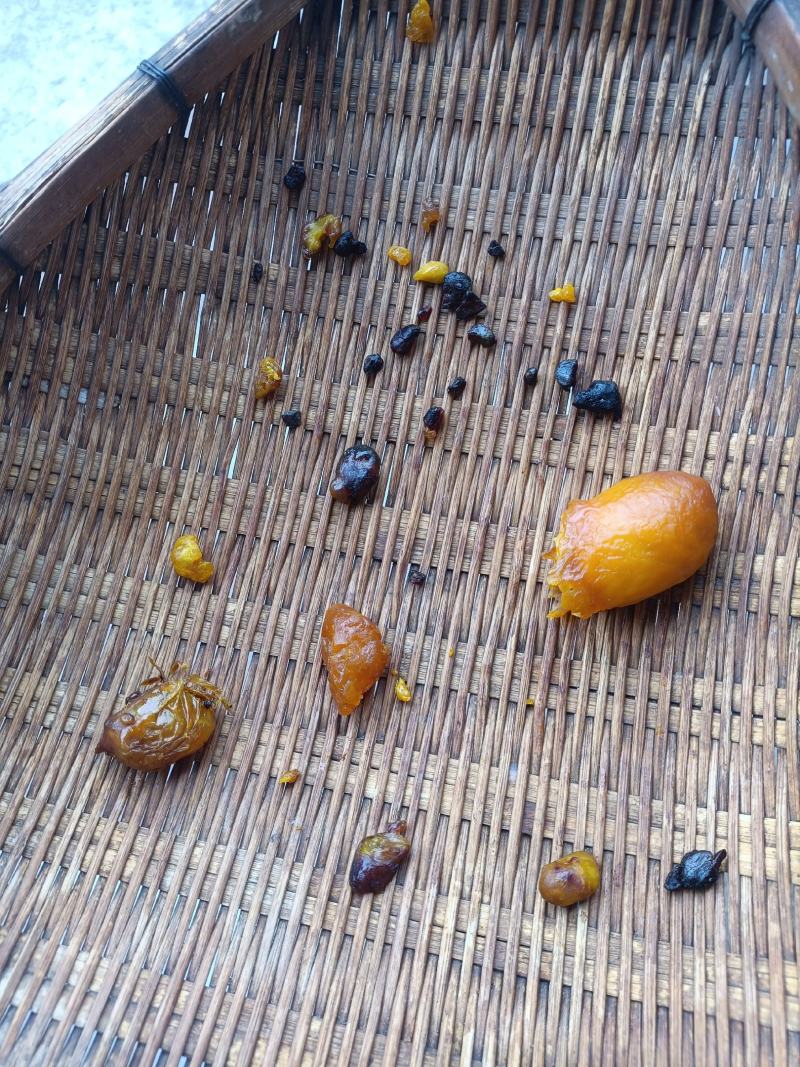 鸡宝，欢迎各位老板采购