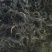 2025年头茬芝麻叶枝头嫩叶野菜人工种植。有意联系
