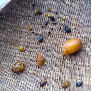 鸡宝，欢迎各位老板采购
