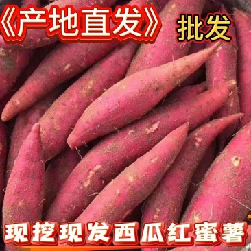 河南精品西瓜红红薯，一手货源，品质保可对接电商商超等