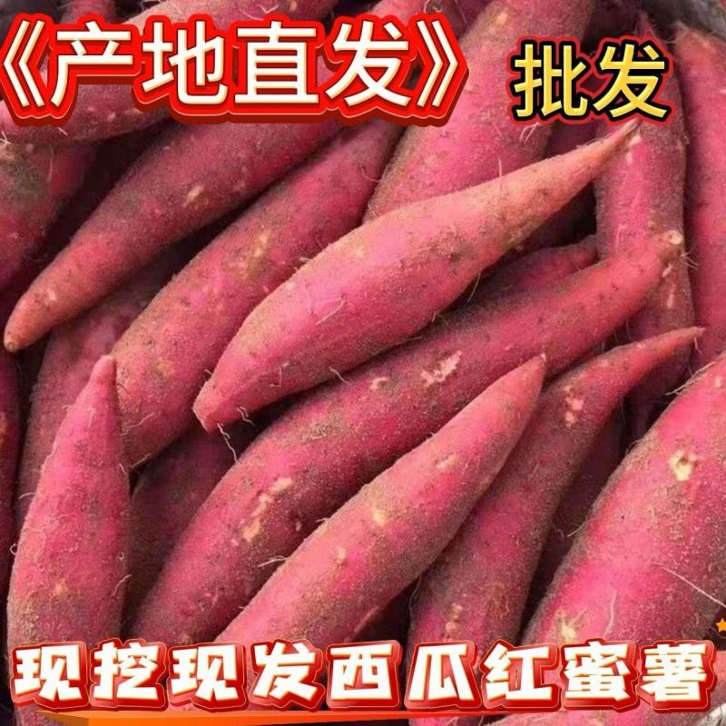 河南精品西瓜红红薯，一手货源，品质保可对接电商商超等