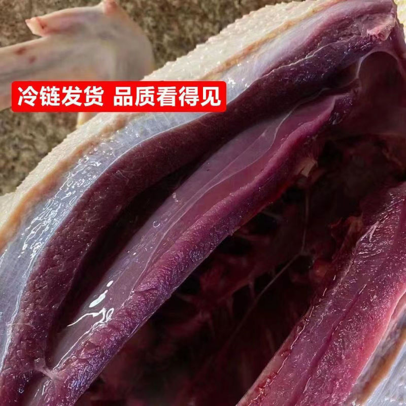 【整只大雁鹅】新鲜大鹅现杀大雁整只鹅鹅肉农家散养铁锅炖专