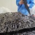 浦津紫菜福建霞浦头水紫菜干净无沙人工日晒免洗凉拌煲汤250克