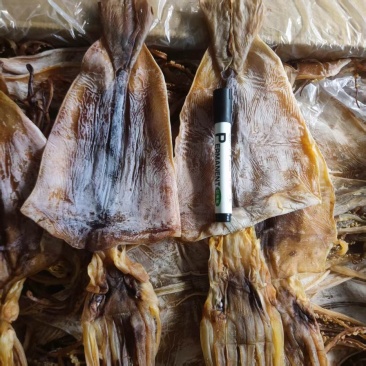 山东鱿鱼片鱿鱼花鱿鱼干量大价优可包邮欢迎咨询