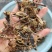 沂蒙山十足全蝎/活蝎/蝎干/蝎子/需要的老板联系/全国发货